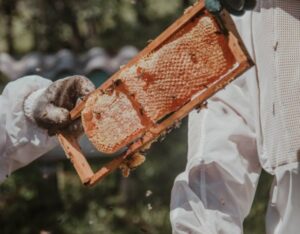 Honey with No Mixing in Singapore