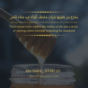 Sidr-Honey-in-Quran